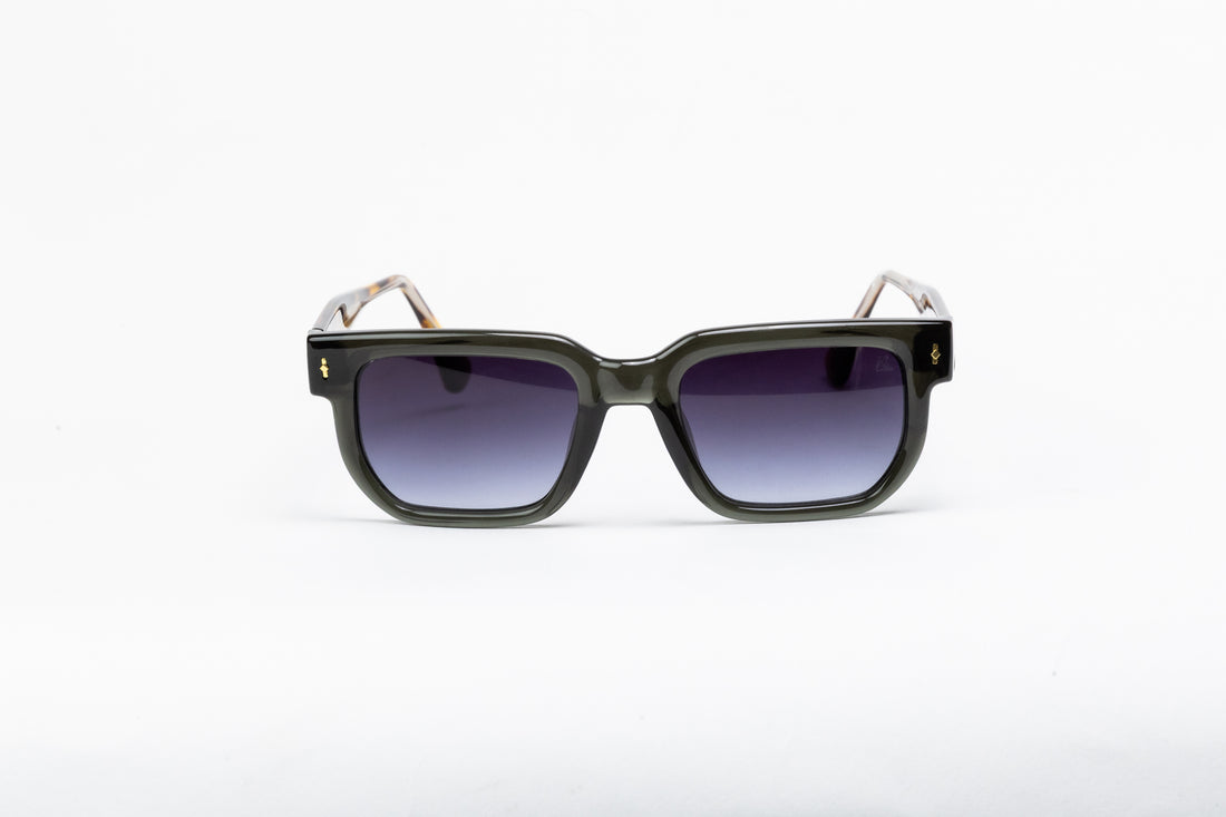 Whisker in Gray Tiger